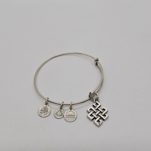 Alex and Ani endless knot sterling silver charm bangle bracelet - Picture 1 of 2